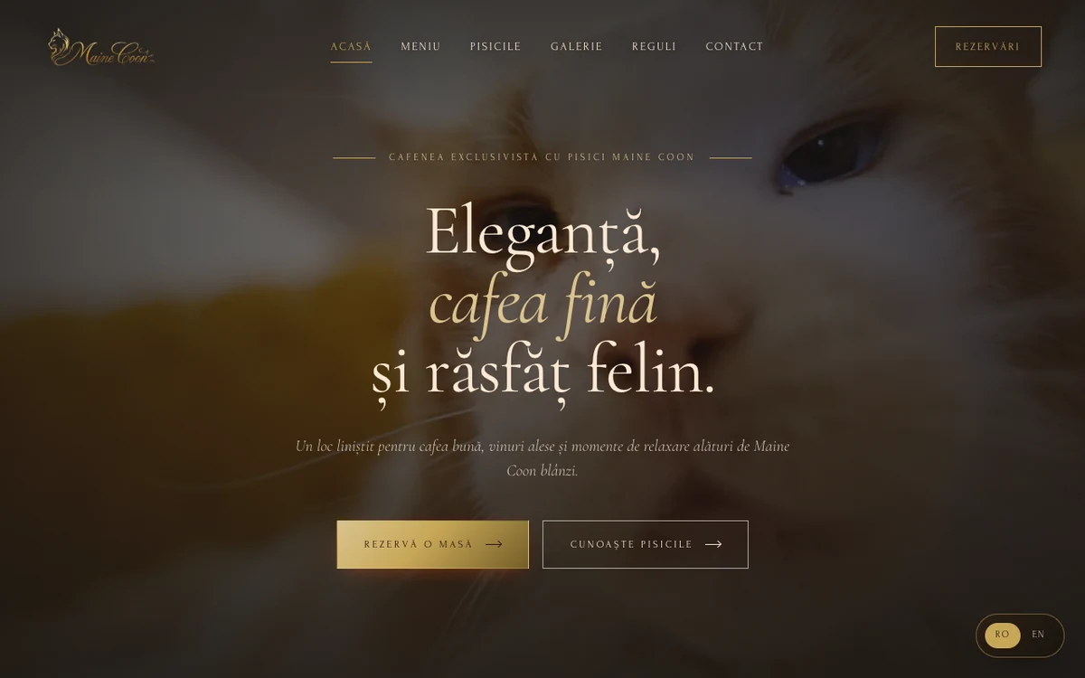 Site-ul mainecooncafe.ro, construit de Voost Vision